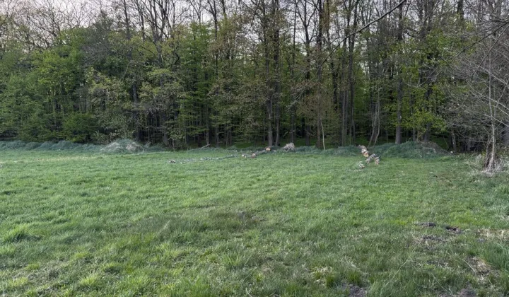 Działka rolno-budowlana Budy Barcząckie