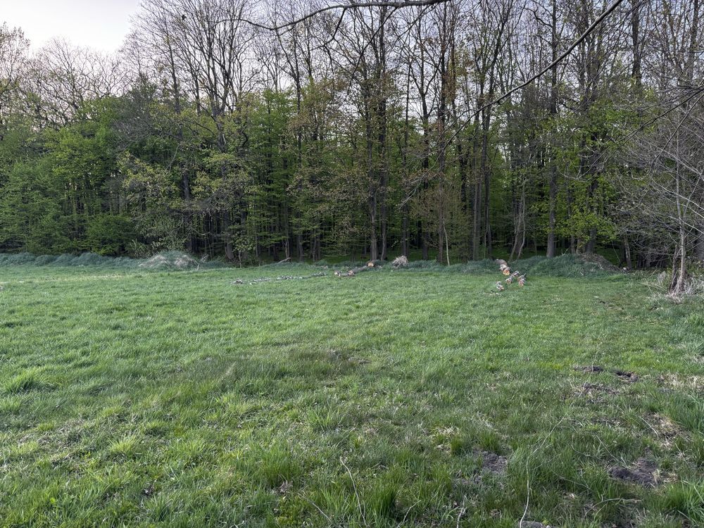 Działka rolno-budowlana Budy Barcząckie. Zdjęcie 1