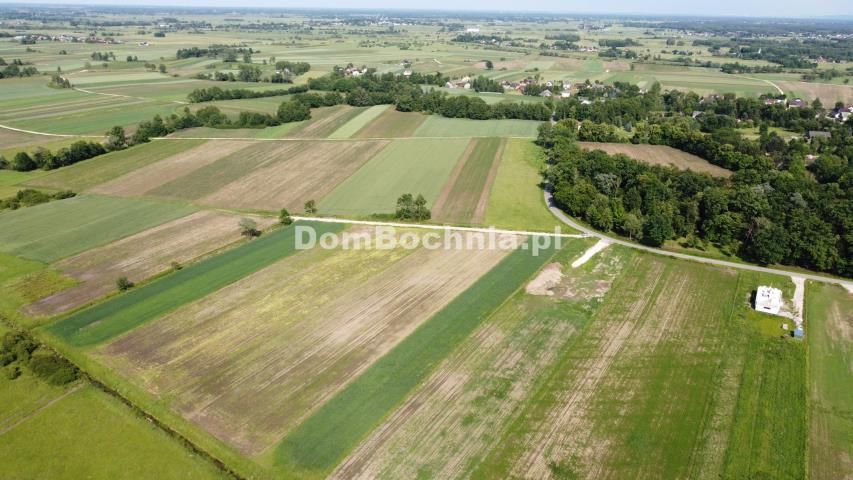 Działka budowlana Strzelce Wielkie. Zdjęcie 11