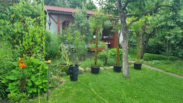 Działka rod Stargard, ul. Grudziądzka. Zdjęcie 1