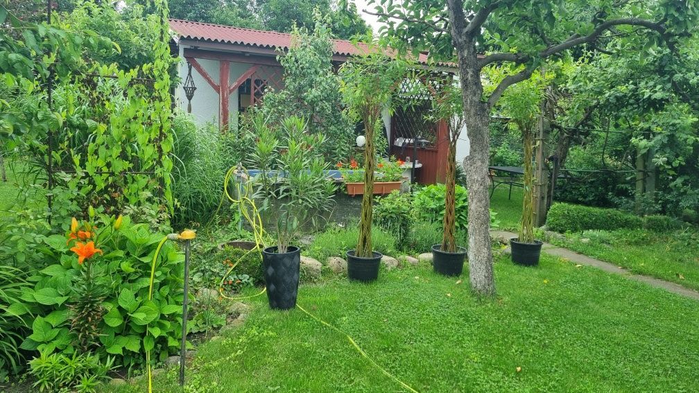 Działka rod Stargard, ul. Grudziądzka