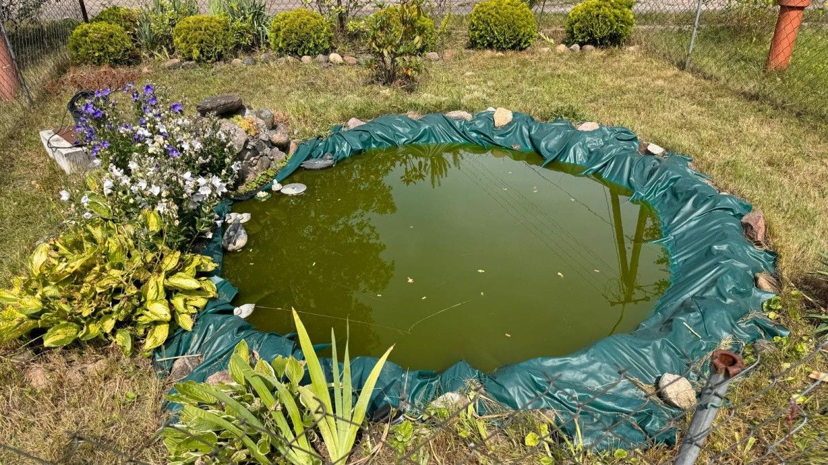 dom wolnostojący, 4 pokoje Wilga. Zdjęcie 9