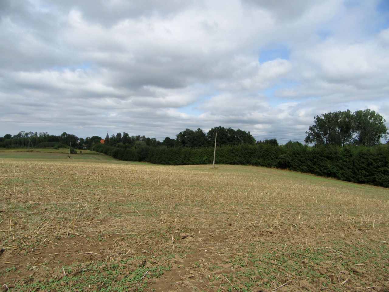 Działka rolna Strużyna. Zdjęcie 16