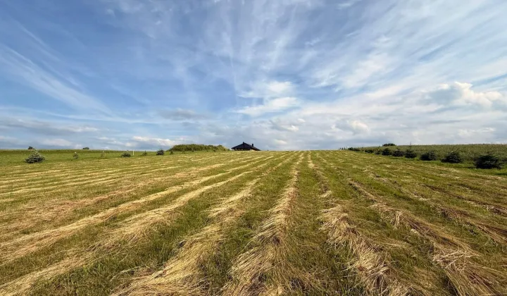 Działka rolno-budowlana Jurków