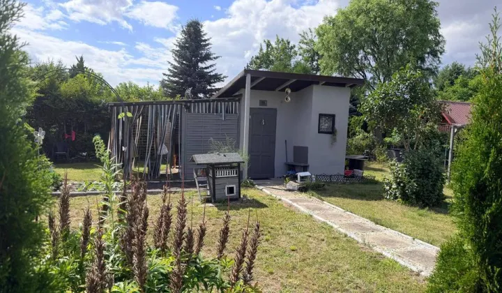 Działka rod Piotrków Trybunalski, ul. Brzeźnicka