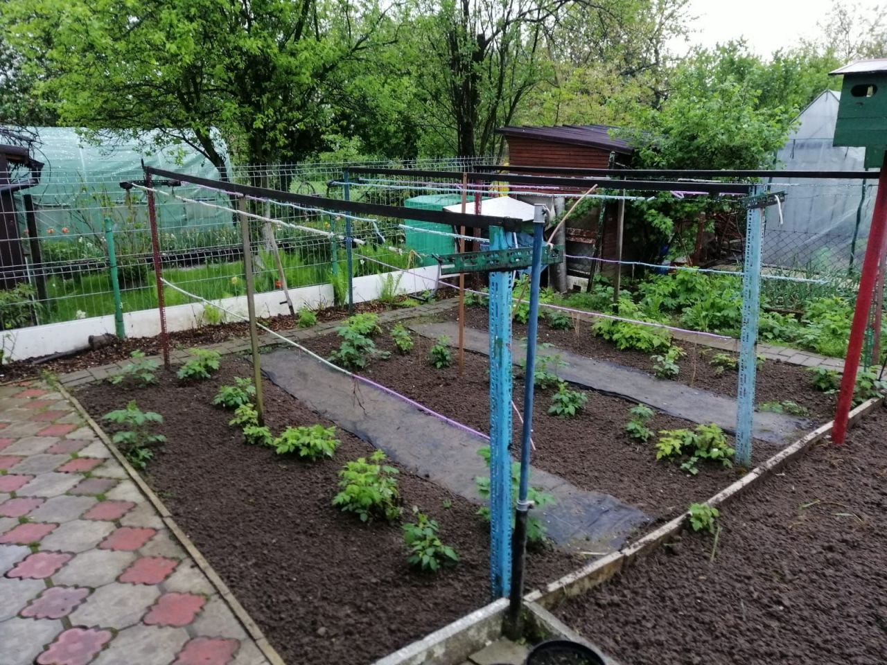 Działka rod Jastrzębie-Zdrój. Zdjęcie 8