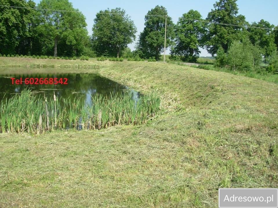 Działka rolna Niedziały. Zdjęcie 11