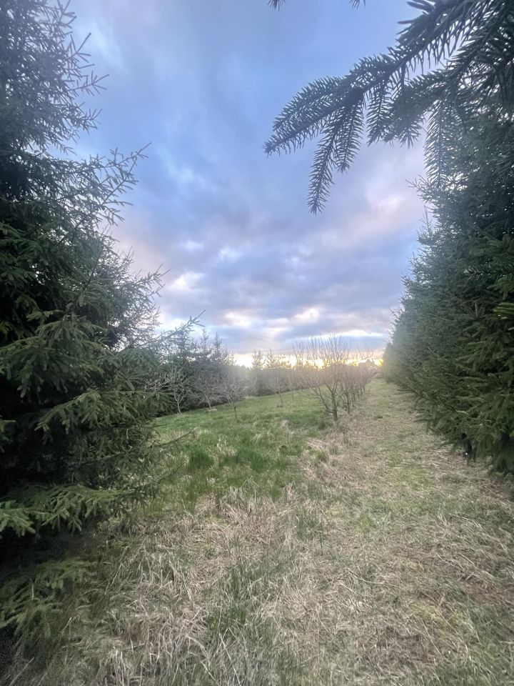 Działka budowlana Całowanie. Zdjęcie 9