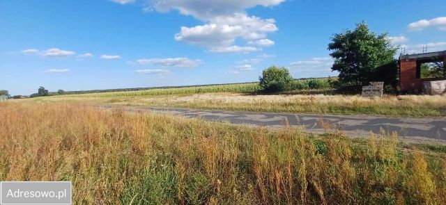 Działka budowlana Lubochnia. Zdjęcie 1