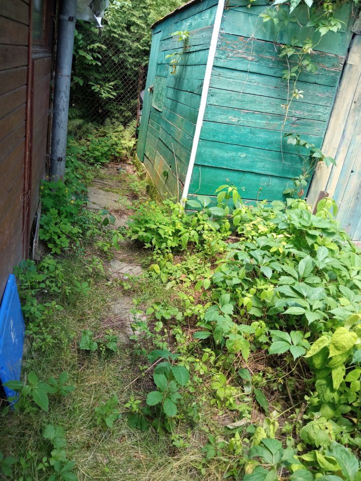 Działka rod Cholerzyn Bory Cholerzyńskie. Zdjęcie 13