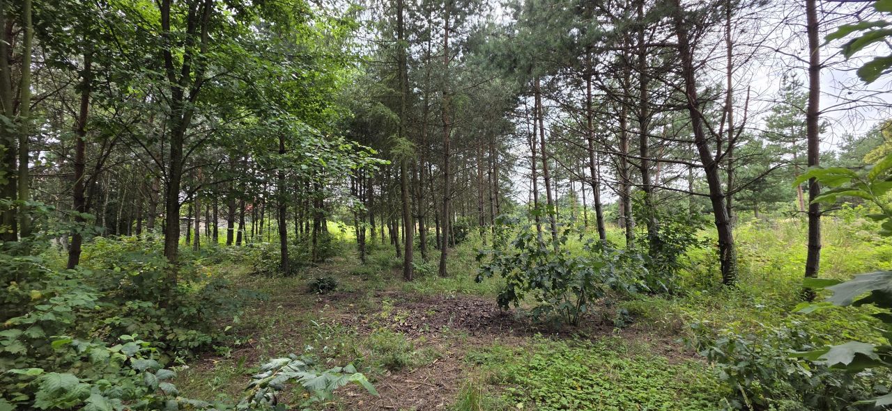 Działka budowlana Zawiercie Wydra Zielona, ul. Winna. Zdjęcie 14