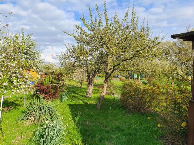 Działka rod Malbork, ul. Toruńska. Zdjęcie 1