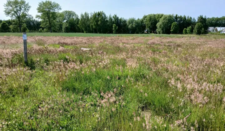 Działka budowlana Sierosław