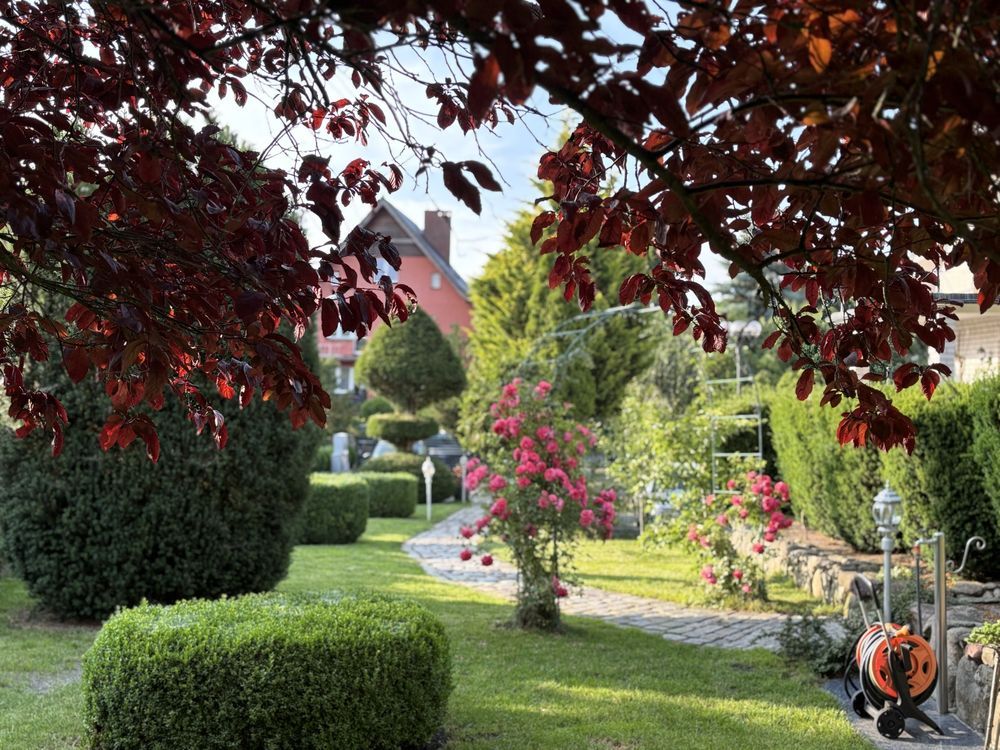 dom wolnostojący Nowogard. Zdjęcie 4