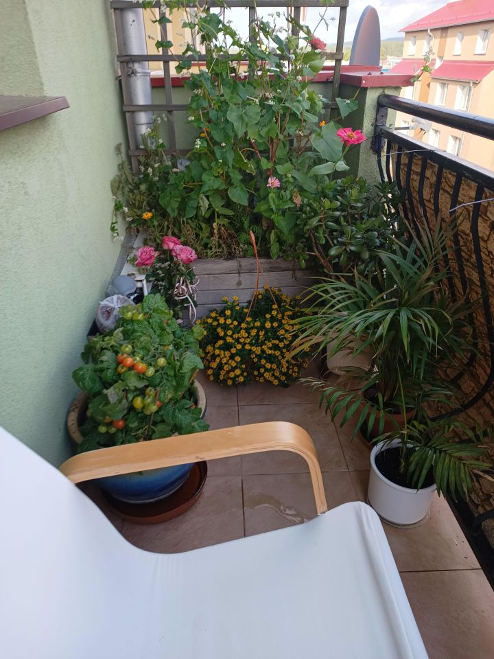 Mieszkanie 2-pokojowe Lębork Centrum, ul. Bolesława Krzywoustego. Zdjęcie 9