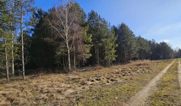 Działka budowlana Drogoszowice