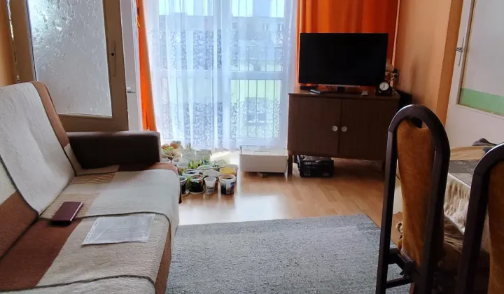 Mieszkanie 2-pokojowe Koluszki, ul. Głowackiego