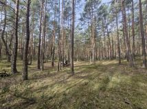 Działka rekreacyjna Lucynów Duży. Zdjęcie 1