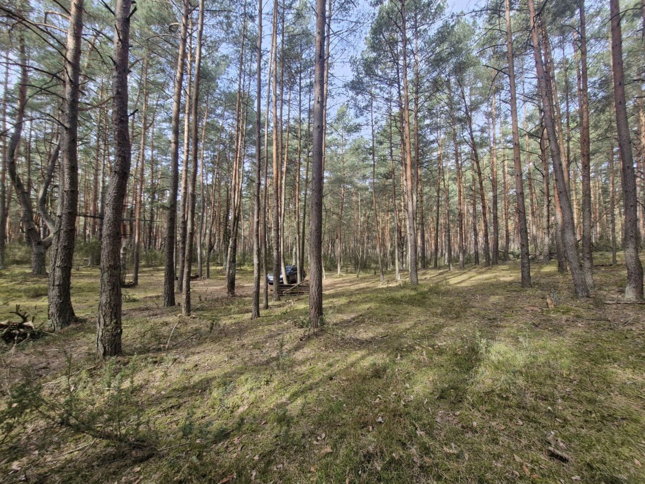 Działka rekreacyjna Lucynów Duży. Zdjęcie 2