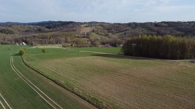 Działka budowlana Tuchów. Zdjęcie 1