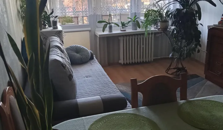 Mieszkanie 2-pokojowe Toruń Podgórz, ul. mjr. Ludwika Idzikowskiego