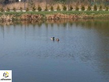 Działka budowlana Blachownia, ul. Kawowa. Zdjęcie 2