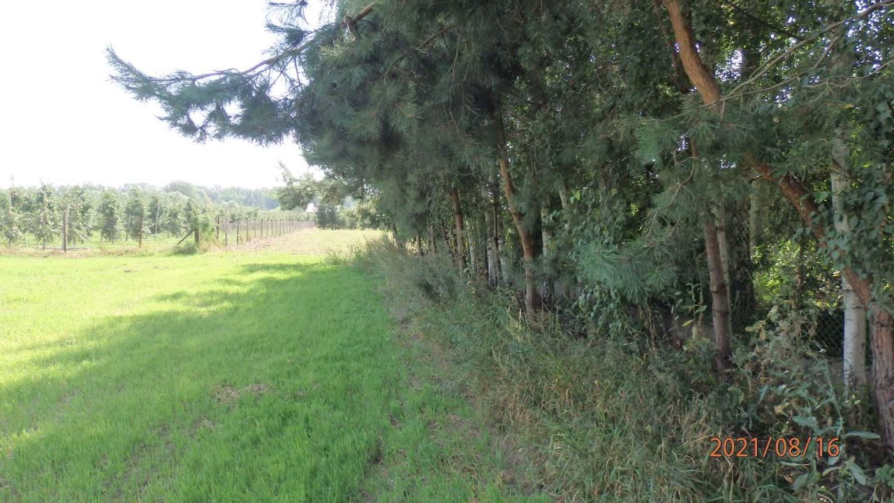 Działka budowlana Głogówko Królewskie, ul. Długa. Zdjęcie 5