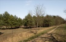 Działka budowlana Rajszew, ul. Mazowiecka. Zdjęcie 4