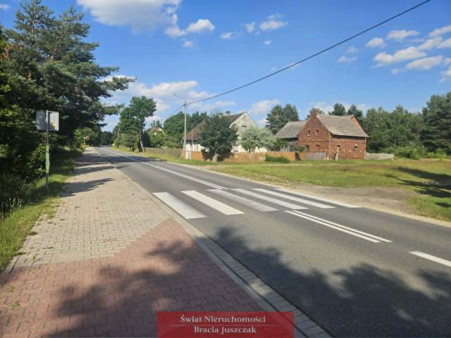 Działka budowlana Sosnówka. Zdjęcie 12