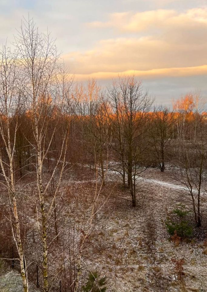 Mieszkanie 4-pokojowe Aleksandrów Łódzki, ul. Józefa Piłsudskiego. Zdjęcie 12