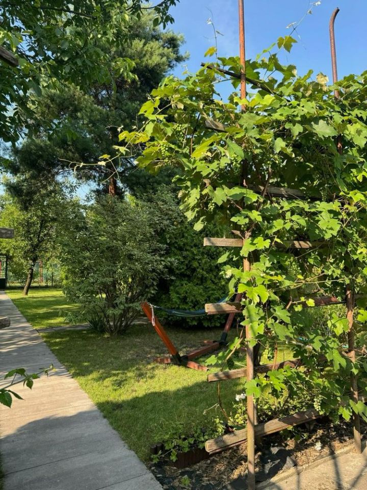 Działka rod Bytom, ul. Piotra Woźniaka. Zdjęcie 2