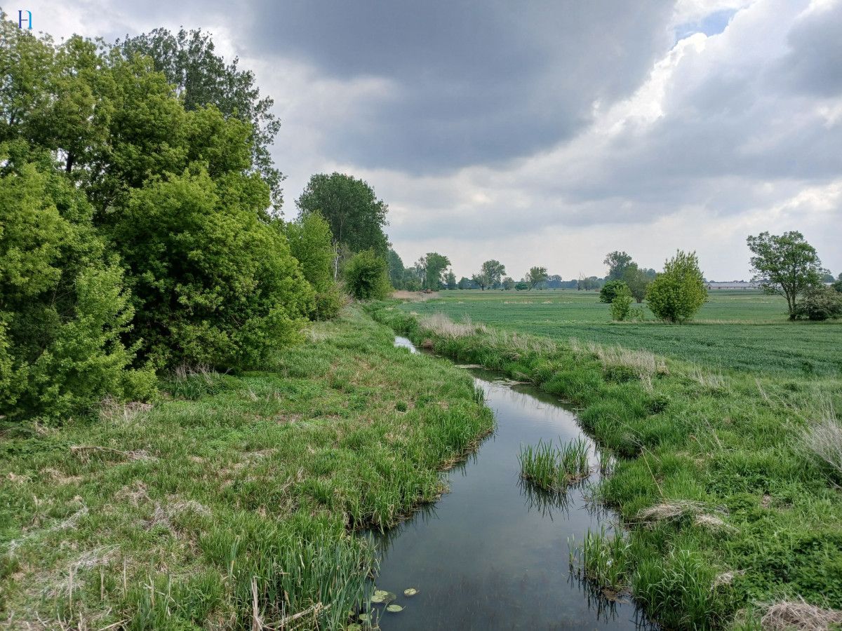 dom wolnostojący, 3 pokoje Bocheń. Zdjęcie 15