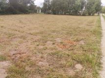 Działka budowlana Kolonia Lesiów. Zdjęcie 1