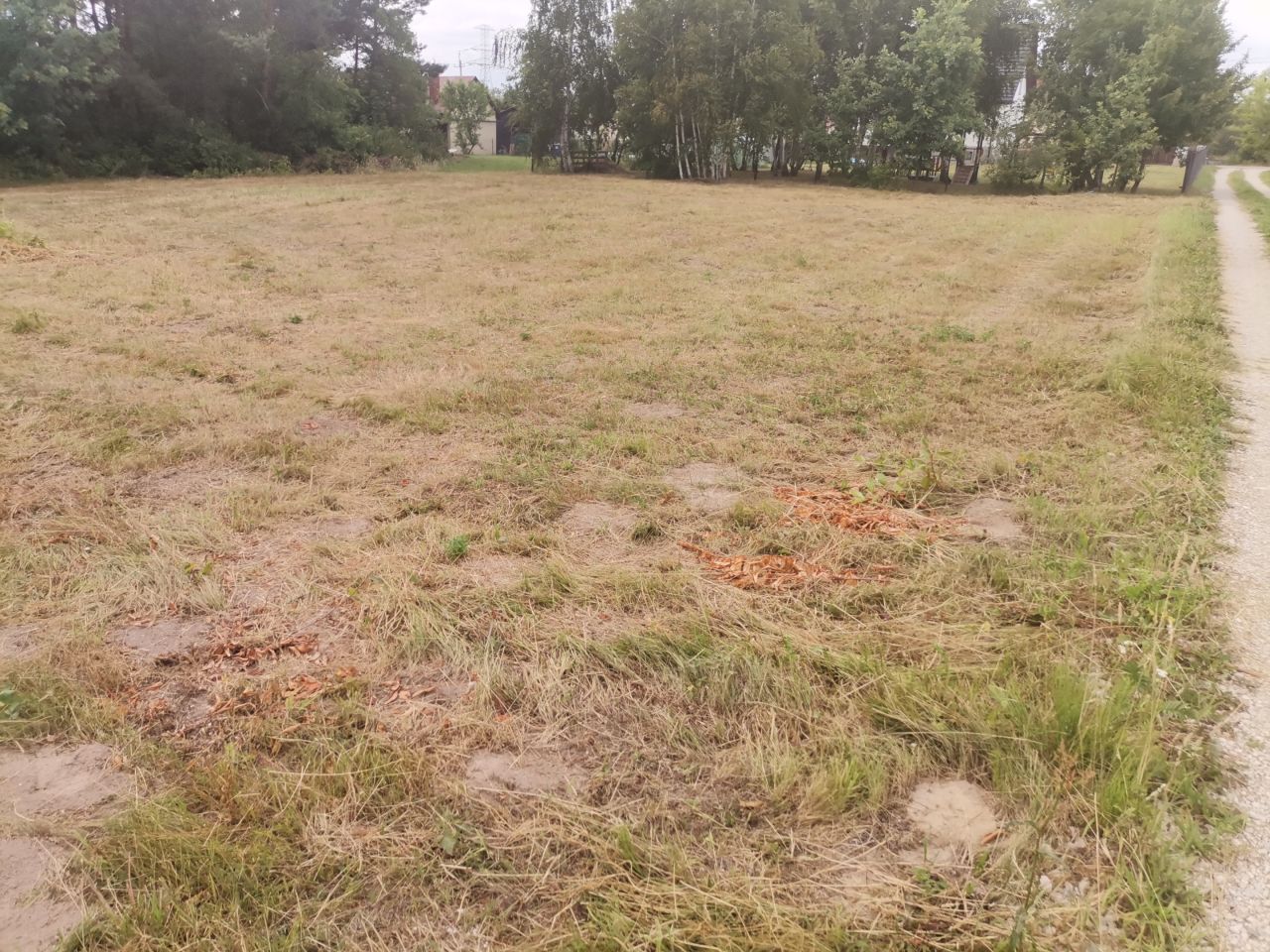 Działka budowlana Kolonia Lesiów. Zdjęcie 2