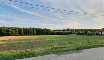 Mieszkanie 2-pokojowe Oświęcim, ul. Karola Olszewskiego