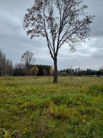 Działka inwestycyjna Siedlce, ul. Stefana Starzyńskiego. Zdjęcie 1