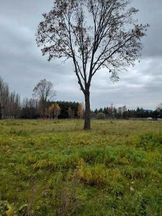 Działka inwestycyjna Siedlce, ul. Stefana Starzyńskiego