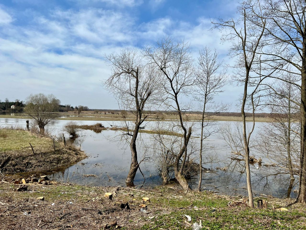 Działka budowlana Stasiopole, ul. Graniczna. Zdjęcie 6