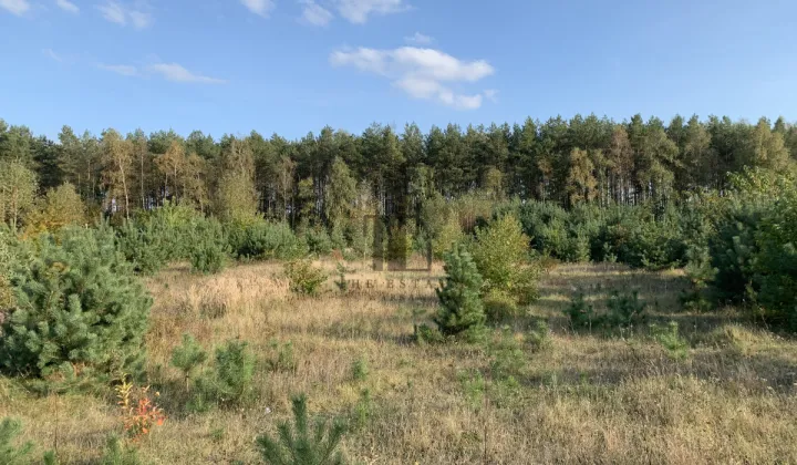 Działka rekreacyjna Gnojno