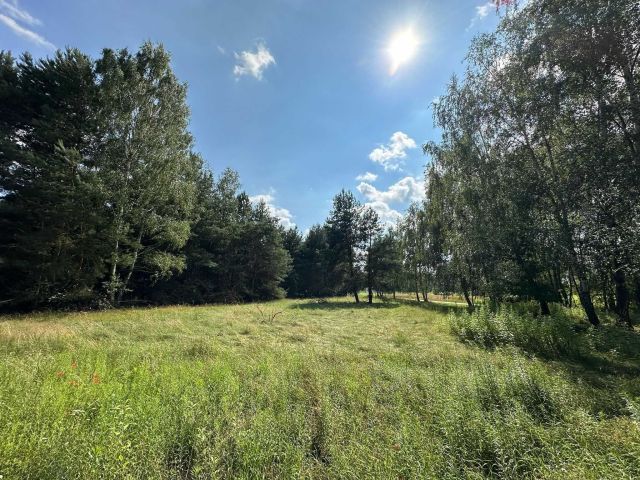 Działka inwestycyjna Boreczek. Zdjęcie 1