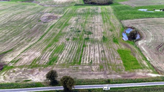 Działka siedliskowa Laseczno. Zdjęcie 4