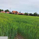 Działka budowlana Tykocin, ul. Zagumienna. Zdjęcie 1