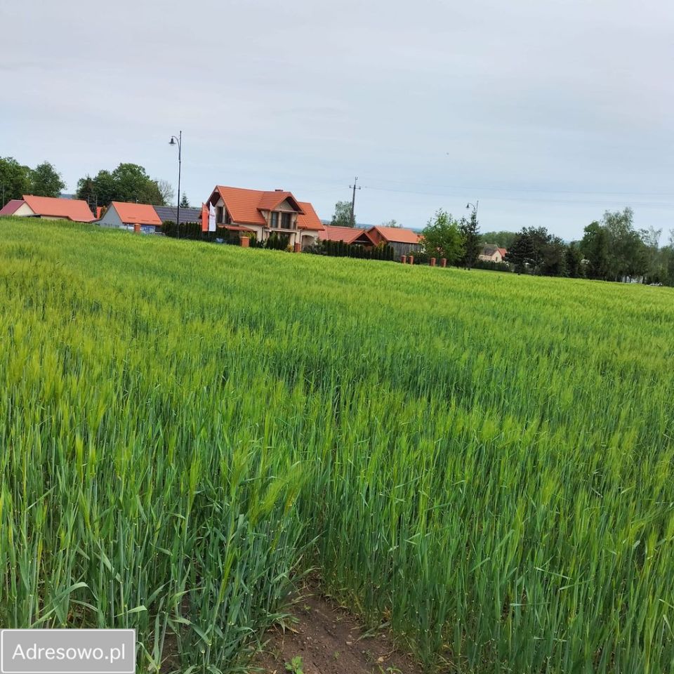 Działka budowlana Tykocin, ul. Zagumienna. Zdjęcie 2