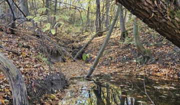 Działka rolno-budowlana Chochorowice