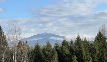 dom wolnostojący, 6 pokoi Sopotnia Mała, Żywiczka 1