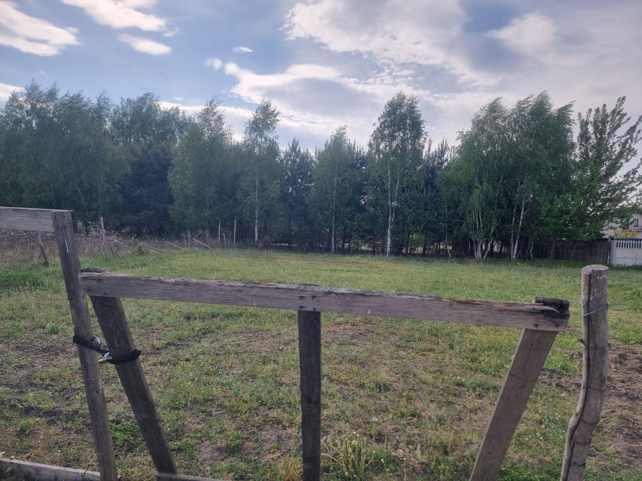 Działka budowlana Czerwonka-Parcel. Zdjęcie 2