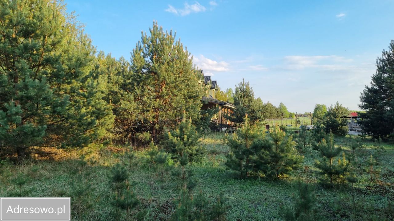 Działka budowlana Powązki, ul. Jarzębinowa. Zdjęcie 6