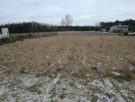 Działka Annowo