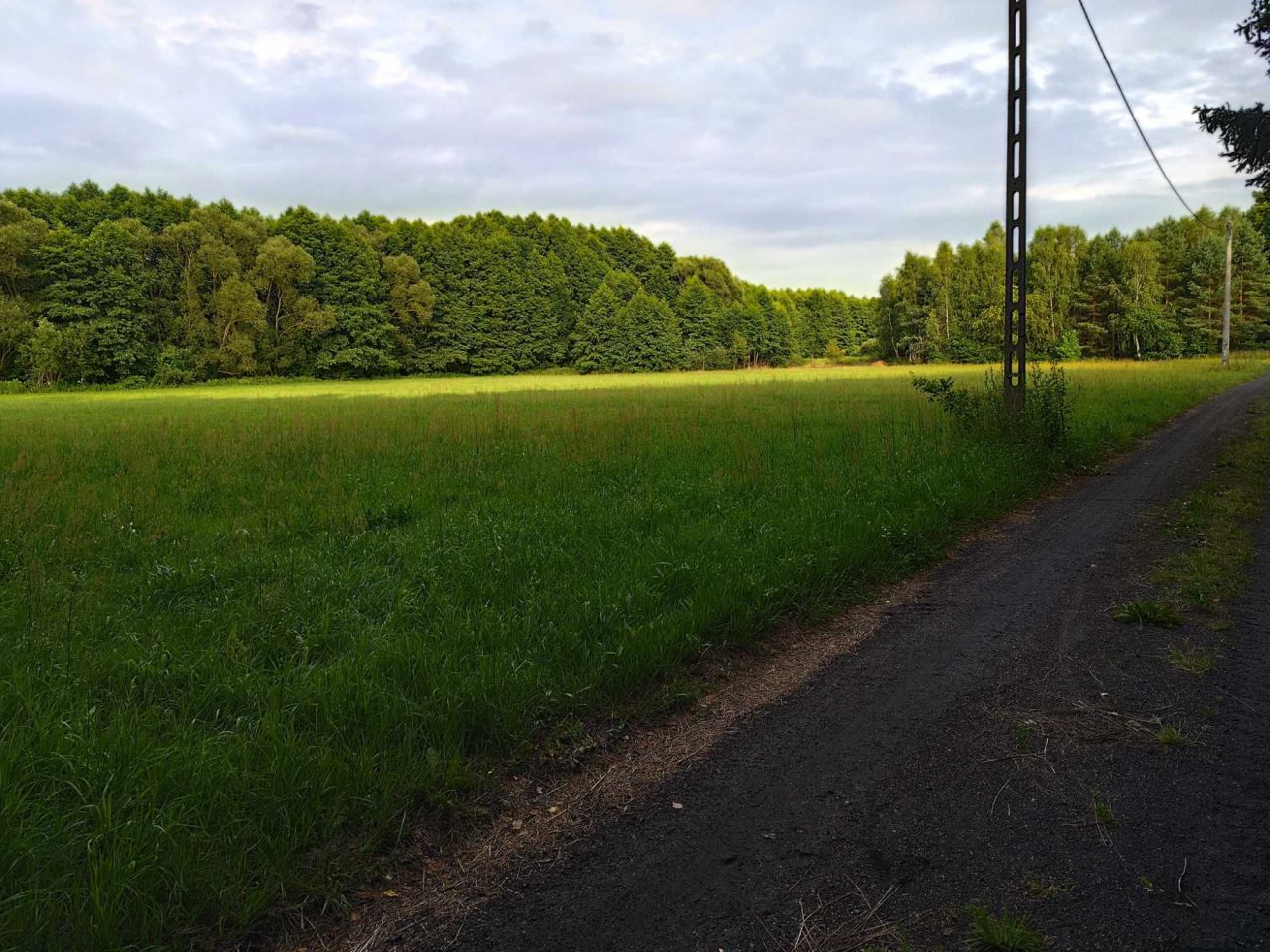 Działka rolna Malużyn. Zdjęcie 3
