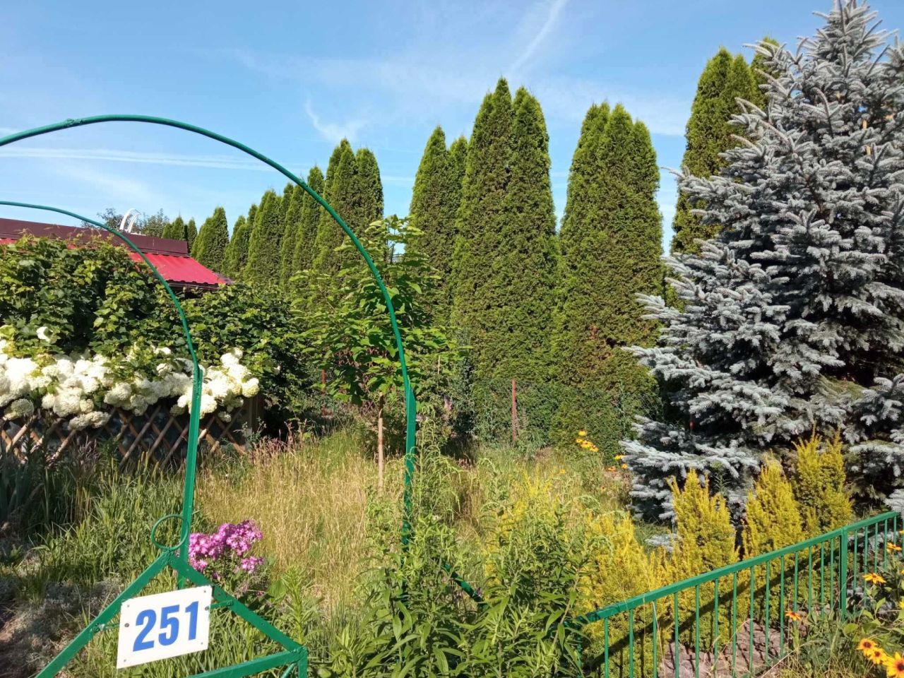 Działka rekreacyjna Ciechocinek